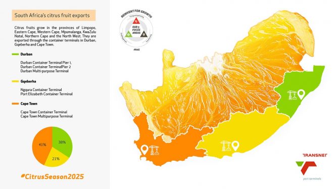 South Africa’s Citrus Fruit a Big Hit in EU and Middle East