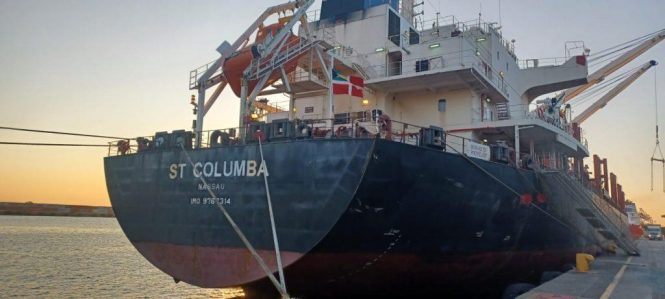 First Soya Beans Exports At East London Terminal Proof Of Regional Growth