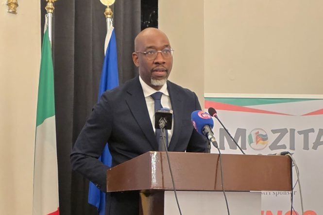 Mozambique Positions Port and Rail Corridors for Italian Investment