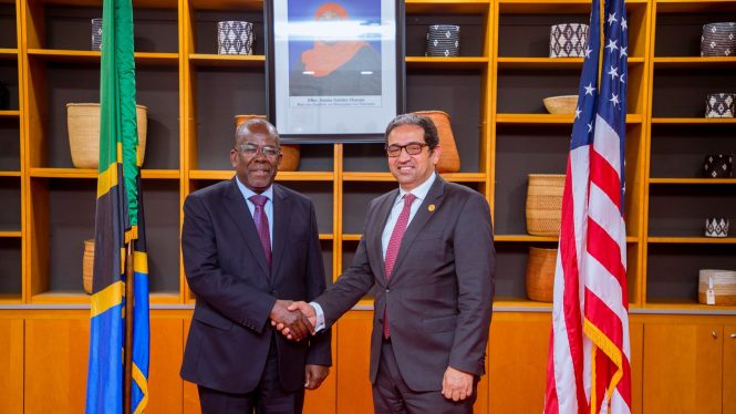 Tanzania, Afreximbank Discuss SGR, AMCE and Fuel Imports