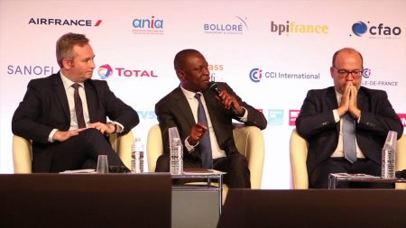 Urban Mobility: Minister Amadou KONE Shares Ivorian Experience In Paris