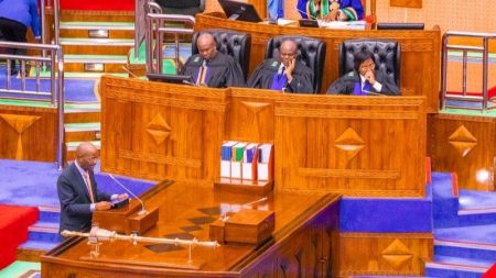 Tanzania Approves TZS 2.746 Trillion Budget to Advance Transport Sector Development