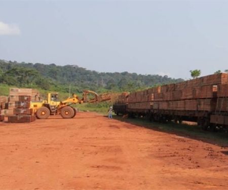 Partnership Creates A Logistics Platform In East Gabon