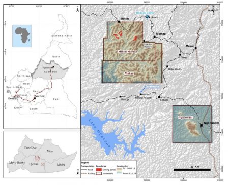 Canyon Signs Mou With Camrail