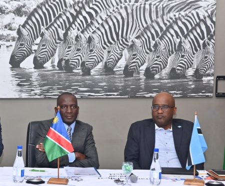 Botswana, Namibia Review Trans-Kalahari Railway Progress Report
