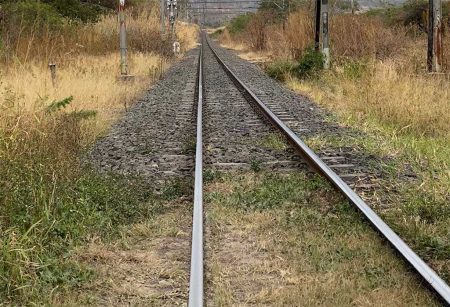 Why The Need For Vegetation Control On Railway Lines?