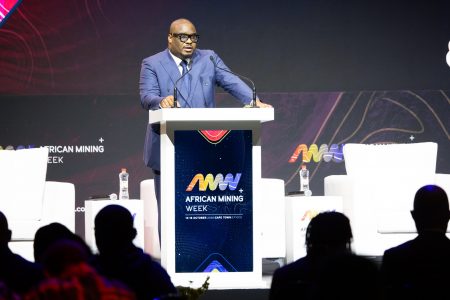 Africa Finance Corporation Plans Exploration Development Investment Company within 12 Months