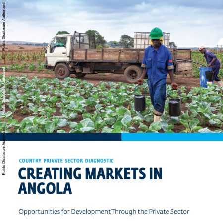 Creating Markets In Angola