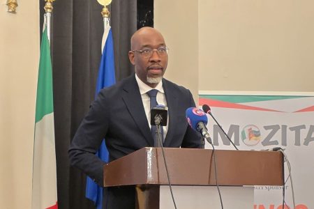 Mozambique Positions Port and Rail Corridors for Italian Investment