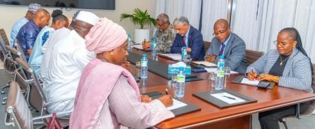 Guinea: African Development Bank Commits Support for Simandou 2040 Strategic Development Programme