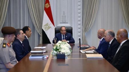 Egyptian President Reviews Developments in Construction, Modernisation and Operation of Ports