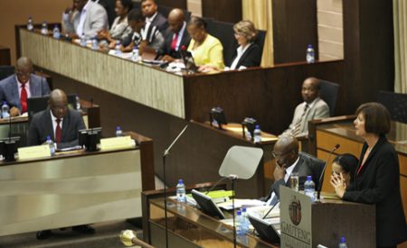 Transport Dominates in Gauteng Medium - Term Budget Presentation