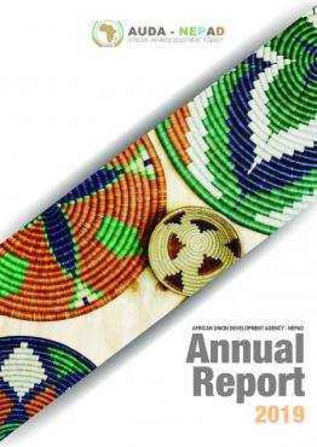 AUDA-NEPAD 2019 Annual Report